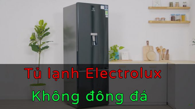 Cách Xử Lí Lỗi Tủ Lạnh Electrolux Không Đông Đá Tại Nhà