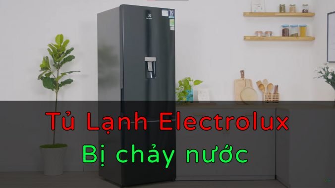Cách Khắc Phục Tủ Lạnh Electrolux Bị Chảy Nước Tại Nhà