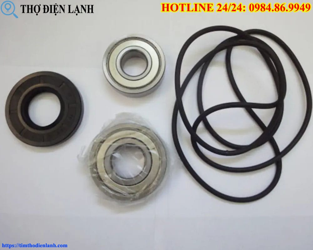 Thay phớt cửa máy giặt Indesit