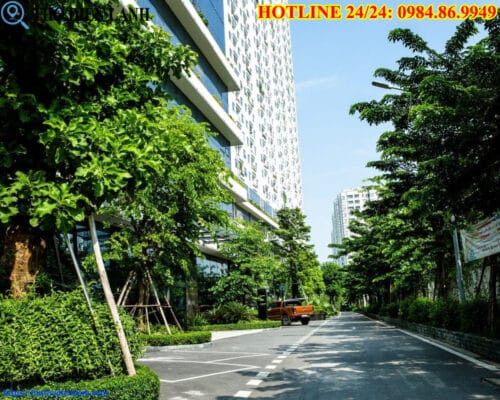 Phân tích tiềm năng cho thuê căn hộ Officetel tại EcoLife Capitol