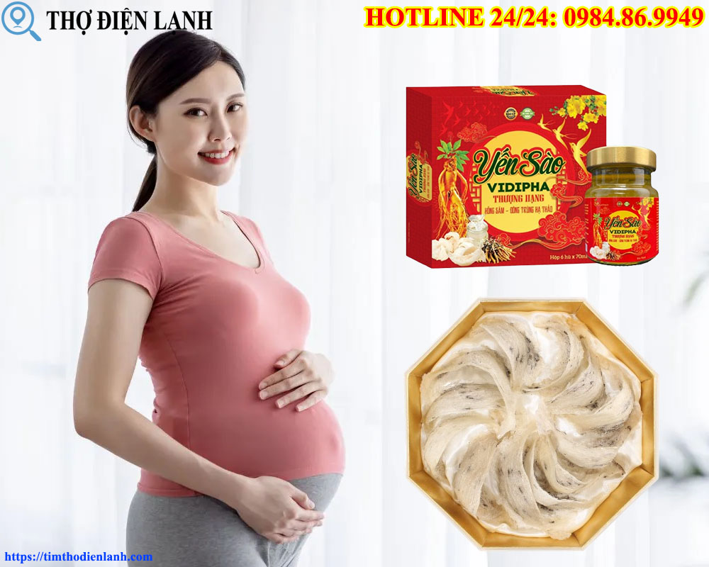 Bầu mấy tháng ăn được yến sào