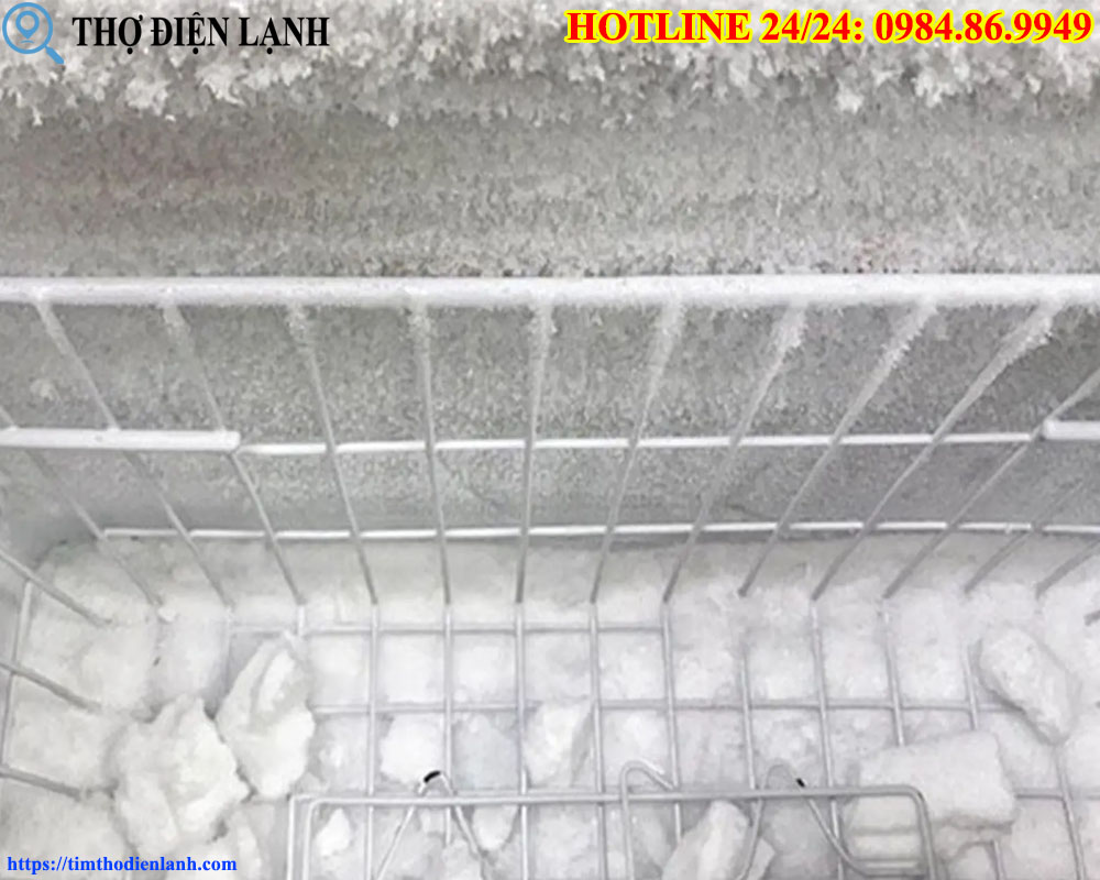Tủ Đông Sanaky, Alaska Bám Tuyết Dày Đặc